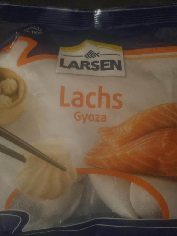 Lachs Gyoza von lyuba | Hochgeladen von: lyuba