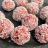 Pink Energy Balls von gron | Hochgeladen von: gron