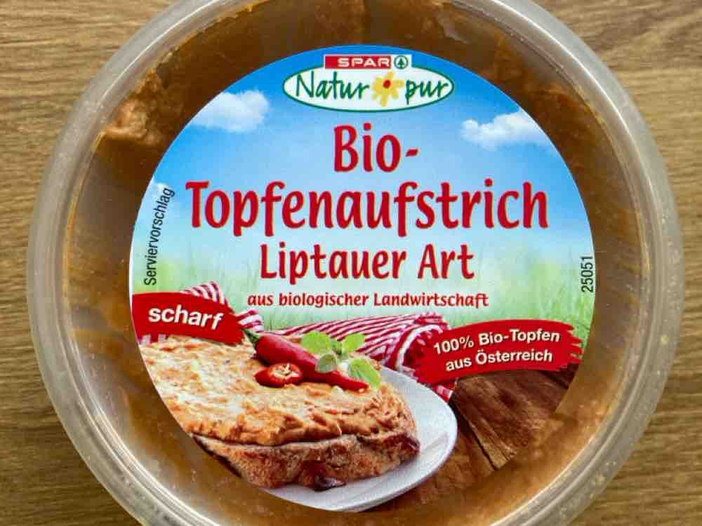 Bio-Topfenaufstrich, Liptauer Art von phigrab | Hochgeladen von: phigrab