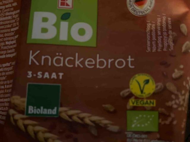 Bio Knäckebrot 3 Saat von azuquita | Hochgeladen von: azuquita