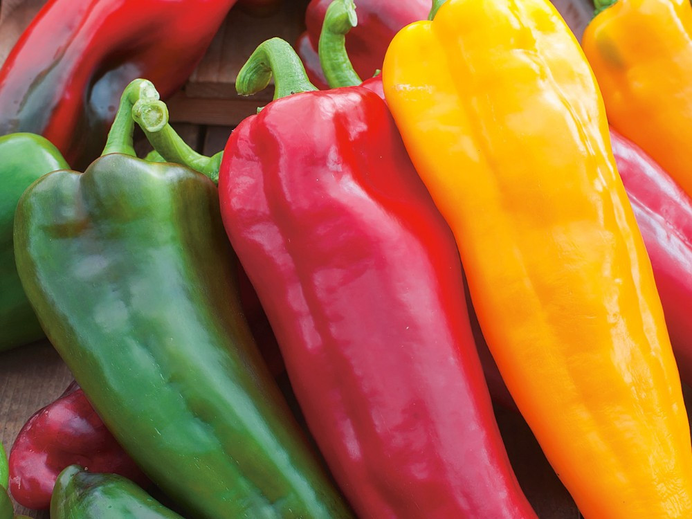 Paprika von Silvan | Hochgeladen von: Silvan Paprika von Silvan | Hochgeladen von: Silvan