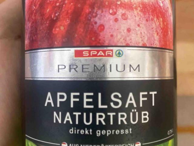 Apfelsaft naturtrüb von schuetzmar | Hochgeladen von: schuetzmar