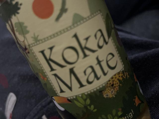 Hochgeladen von: LukasHamm