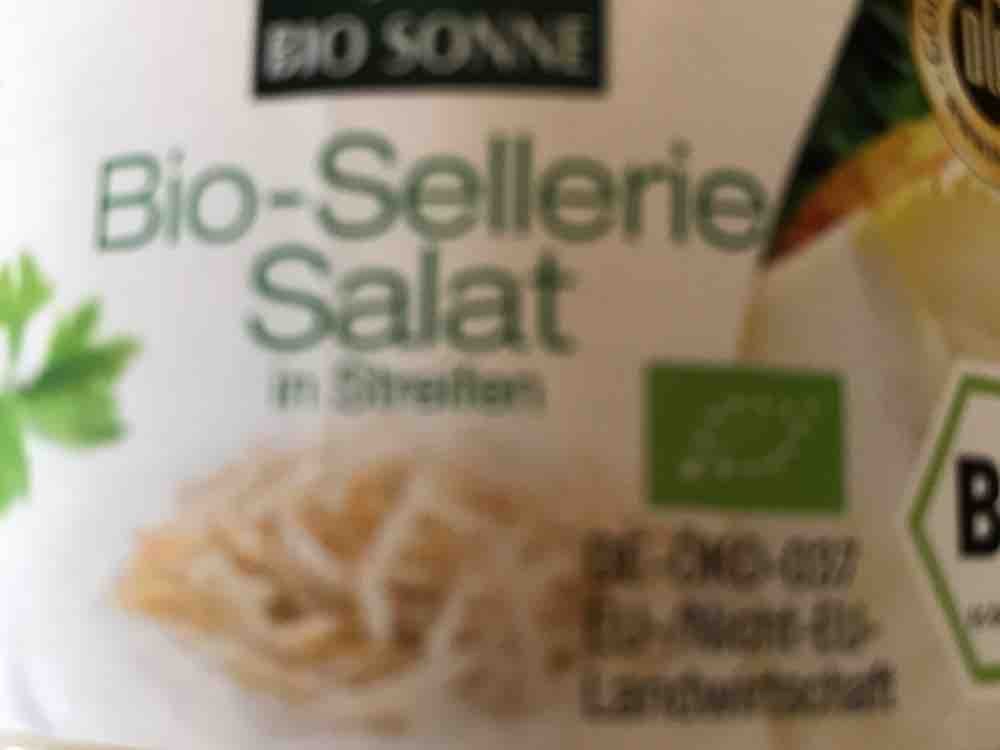 Bio-Sellerie Salat in Streifen von DerBub | Hochgeladen von: DerBub