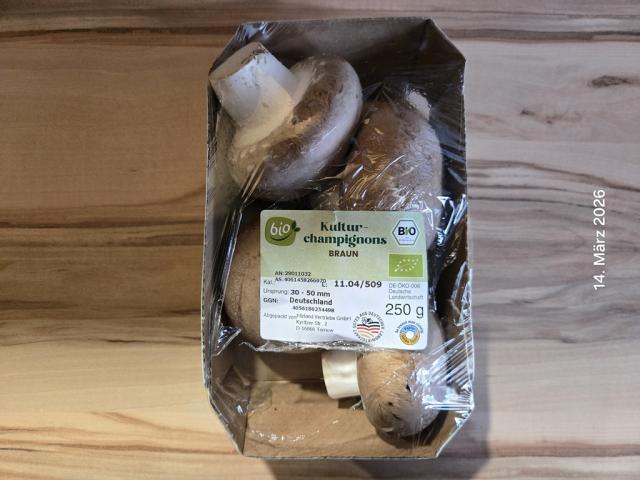 Hochgeladen von: cucuyo111