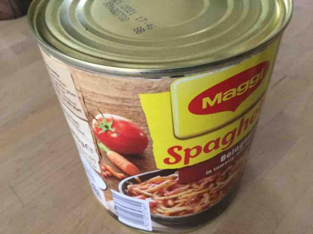Spaghetti Bolognese, mit Hackfleischsauce von Berni58 | Hochgeladen von: Berni58