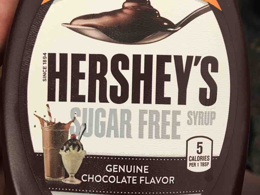 Sugar Free Syrup Genuine Chocolate Flavor von Jennniii86 | Hochgeladen von: Jennniii86