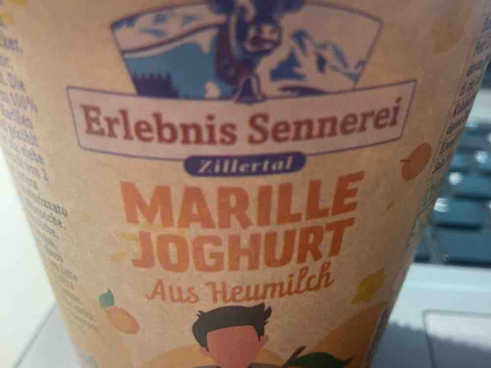 Marillenjoghurt, Marille von Fischlein2202 | Hochgeladen von: Fischlein2202