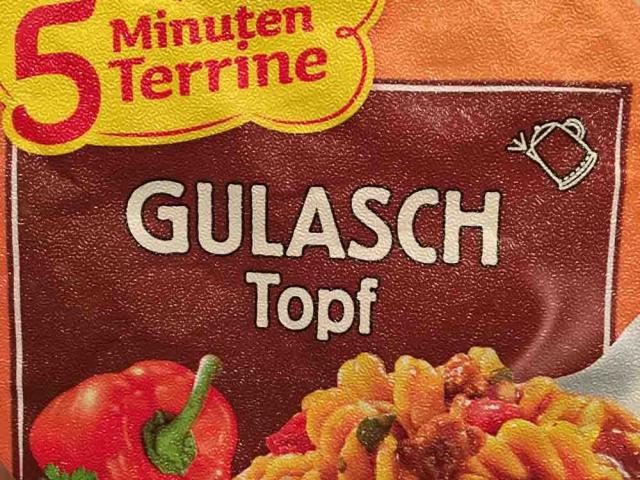 Gulasch Topf, 5 Minuten Terrine  von PeGaSus16 | Hochgeladen von: PeGaSus16