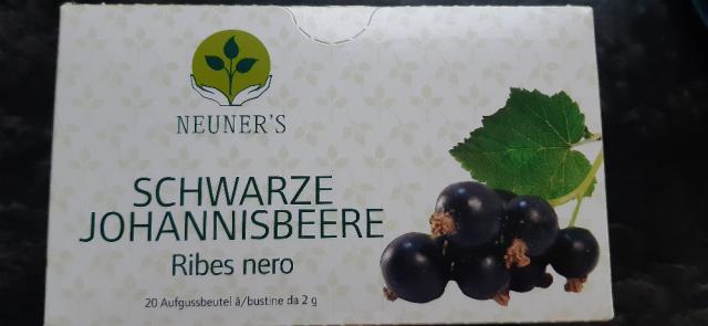 Schwarze Johannisbeere by kamplatz | Uploaded by: kamplatz