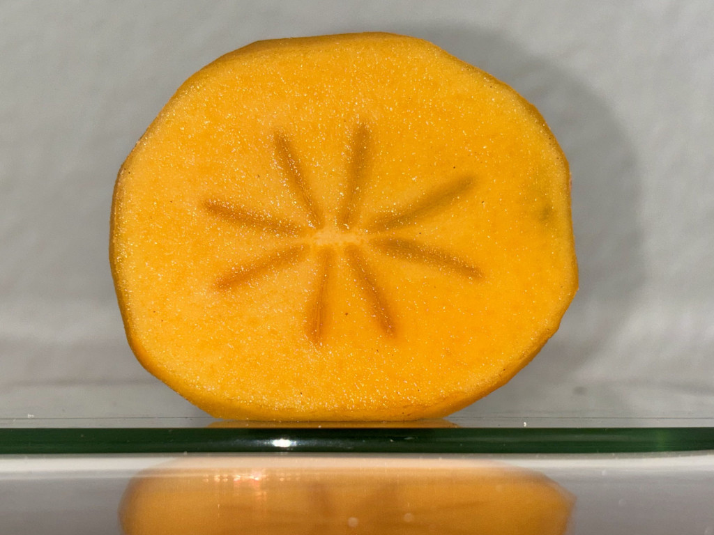 Hochgeladen von: blechbox