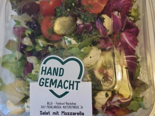 Salat mit Mozzarella von KathiD. | Hochgeladen von: KathiD.