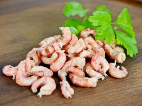 Hochgeladen von: j.zels