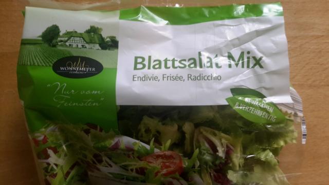 Blattsalat Mix, Endivie, Frisee, Radicchio | Hochgeladen von: subtrahine