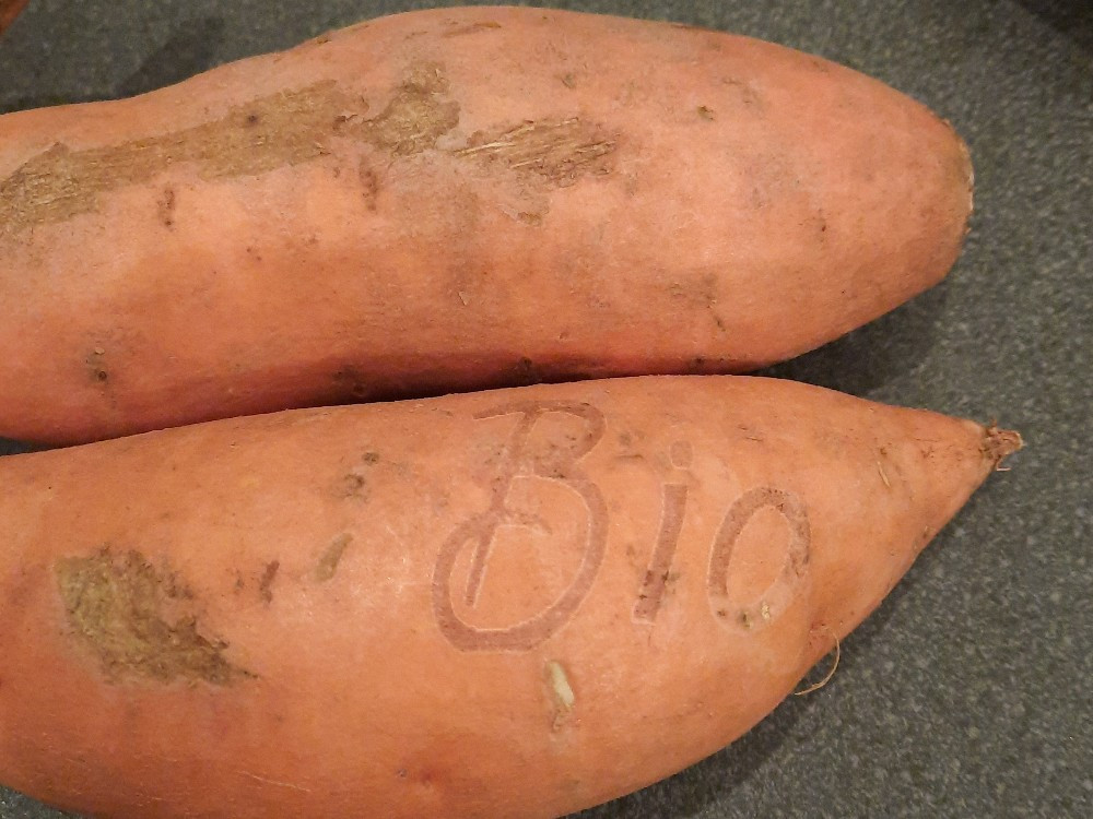 Hochgeladen von: MartinaGö