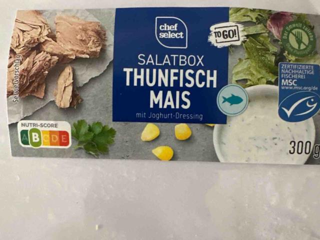 Salatbox Thunfisch und Mais mit Joghurt Dressing von ImmerGeiler | Hochgeladen von: ImmerGeiler