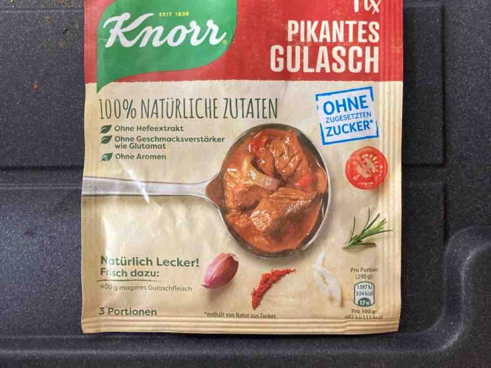 Fix Pikantes Gulasch, zubereitet ohne zugesetzten Zucker von Alo | Hochgeladen von: Alokie