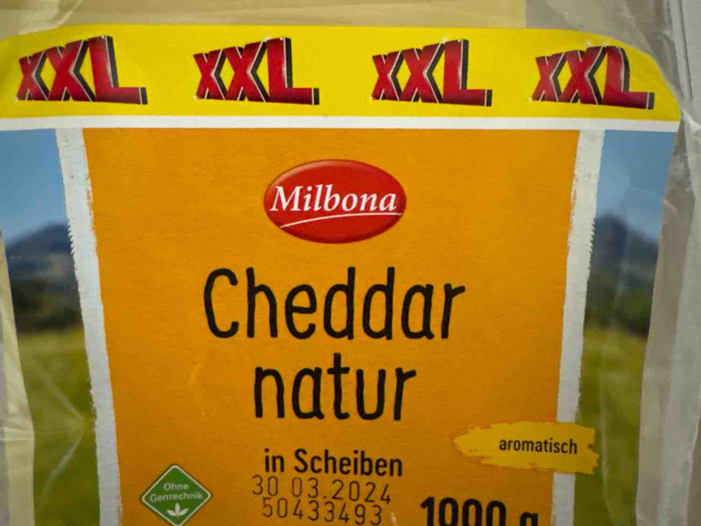 Cheddar natur, XXL von Tiffy3184 | Hochgeladen von: Tiffy3184