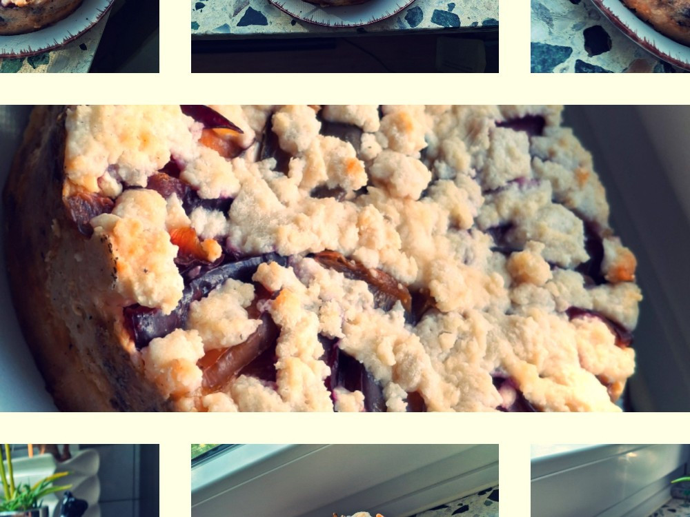 Hochgeladen von: Campbell