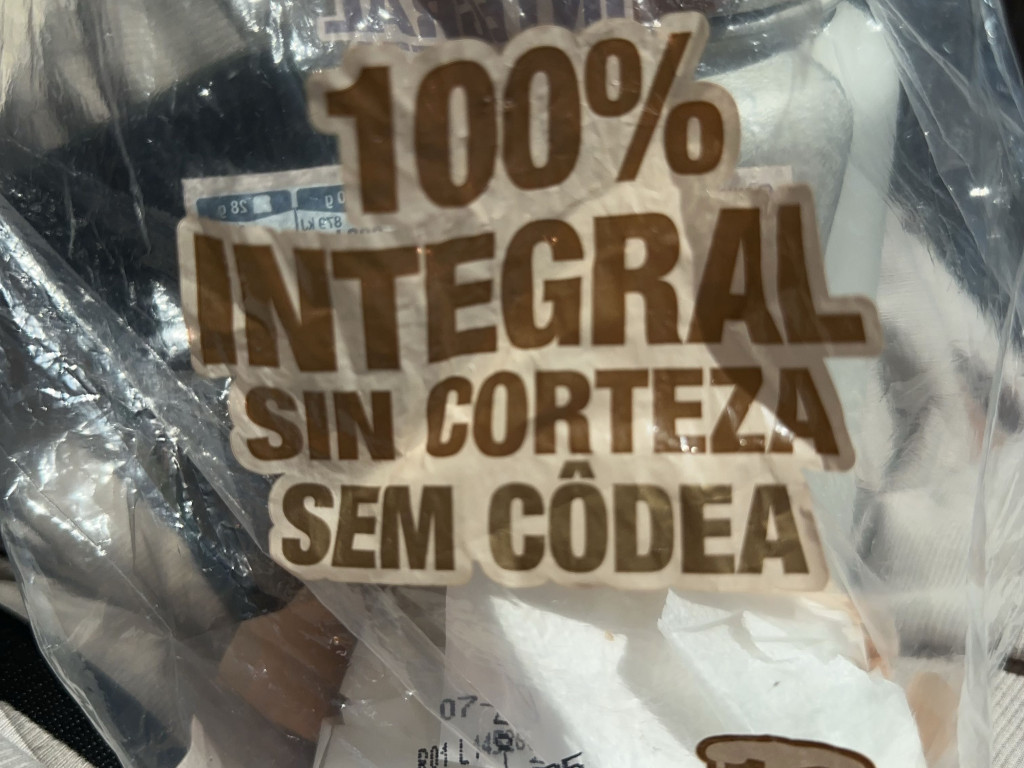 Hochgeladen von: choiahoi