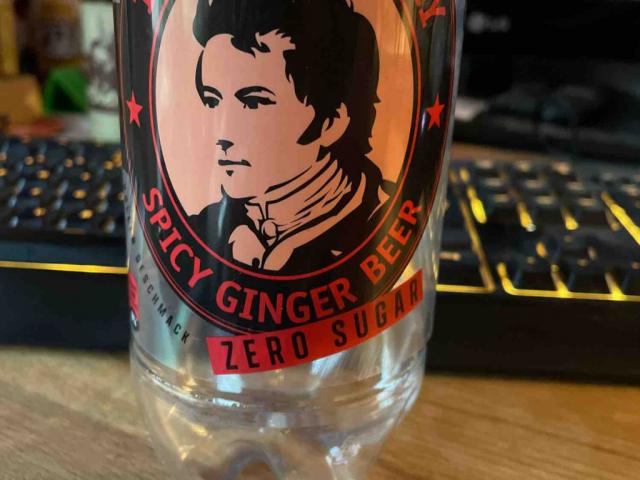 Spicy Ginger Beer, zero sugar von Nikkira | Hochgeladen von: Nikkira