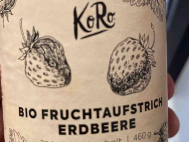 Bio Fruchtaufstrich, Erdbeere von MBE84 | Hochgeladen von: MBE84