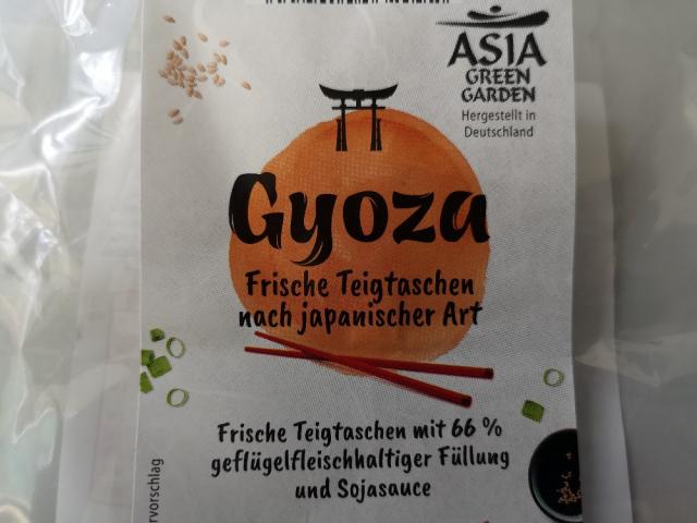 Gyoza, Huhn von tinylittlethings | Hochgeladen von: tinylittlethings