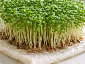 Hochgeladen von: dahnabraun