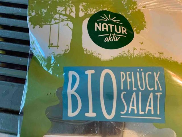 bio pflück   salat von RenatePr | Hochgeladen von: RenatePr