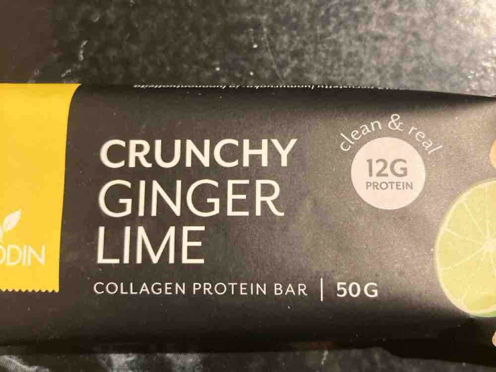 Collagen Protein Bar, Crunchy Ginger Lime von petwe84 | Hochgeladen von: petwe84