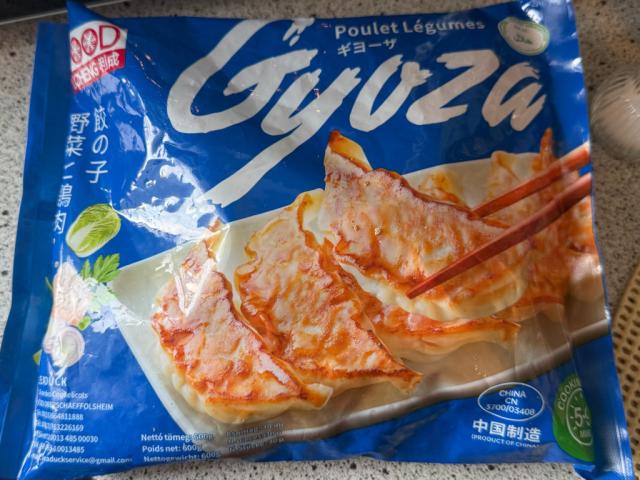 Gyozas Hähnchen-Gemüse von VentoAureo | Hochgeladen von: VentoAureo