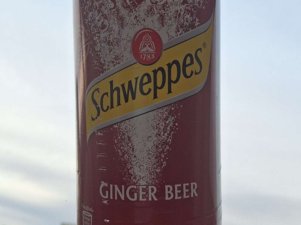 Ginger Beer von koenigbj | Hochgeladen von: koenigbj