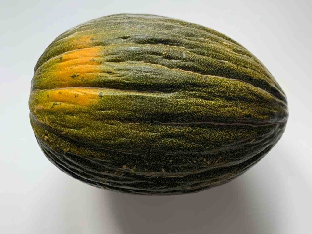 Melone, Piel de Sapo von superstine | Hochgeladen von: superstine