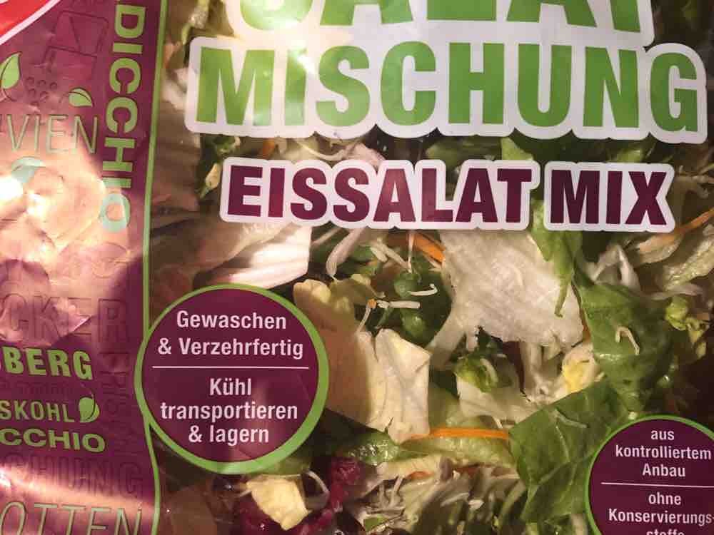 Salatmischung/ Eissalat Mix von RamonaB | Hochgeladen von: RamonaB