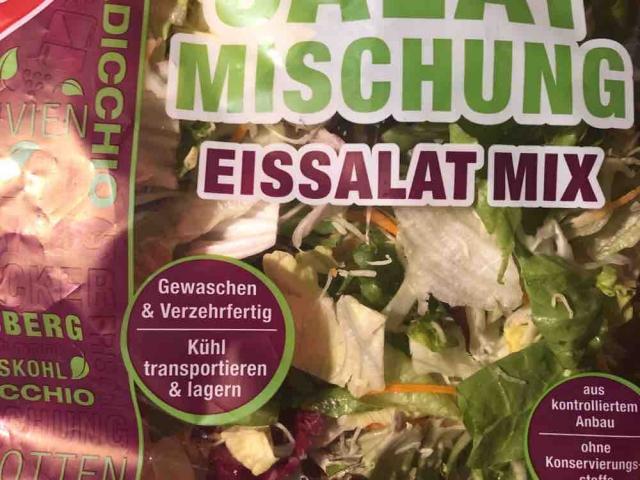 Salatmischung/ Eissalat Mix von RamonaB | Hochgeladen von: RamonaB