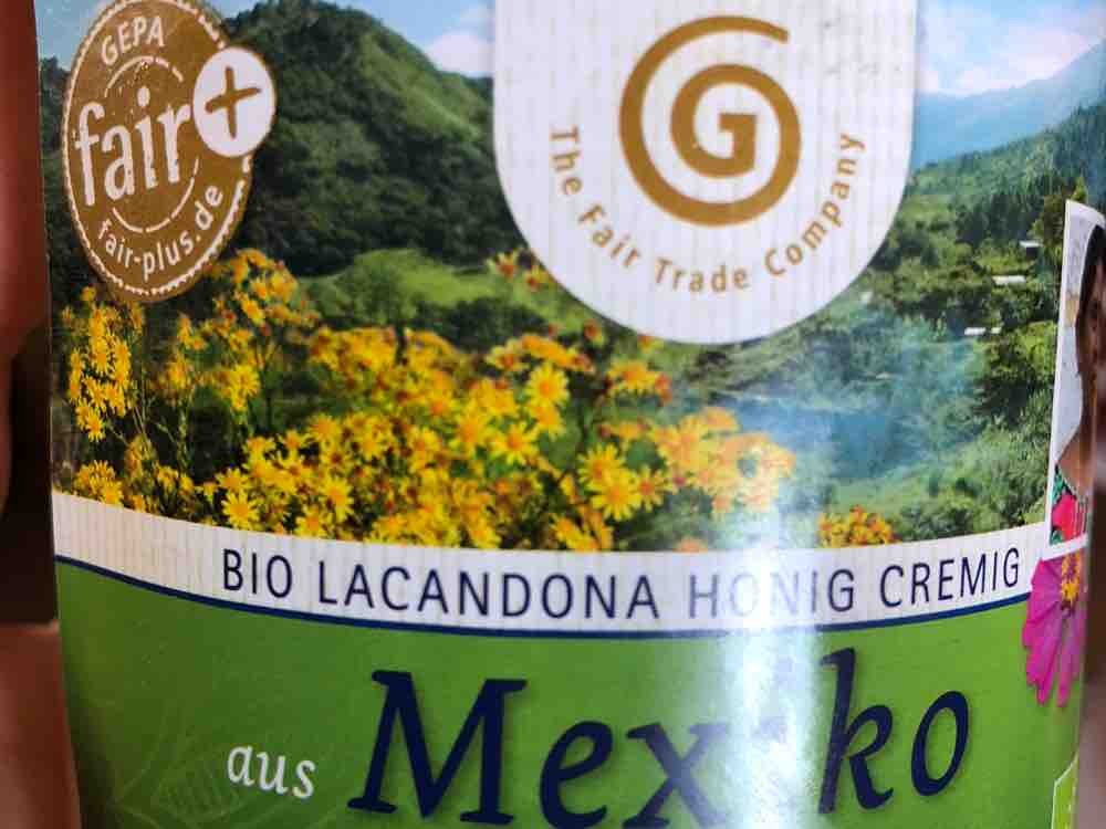 Honig - Lacandona, Wildblütenhonig aus Mexico mit fein-mildem Ar | Hochgeladen von: bambili1503