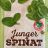 Junger Spinat, gehackt * erntefrisch von liesel36 | Hochgeladen von: liesel36