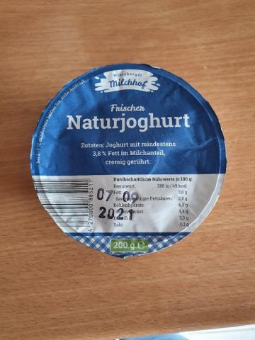 Naturjoghurt, 3,8 % Fett von Mona1978 | Hochgeladen von: Mona1978