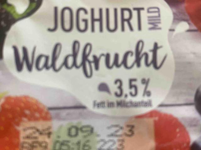 Joghurt Waldfrucht, 3,5% Fettanteil by leohjb | Hochgeladen von: leohjb