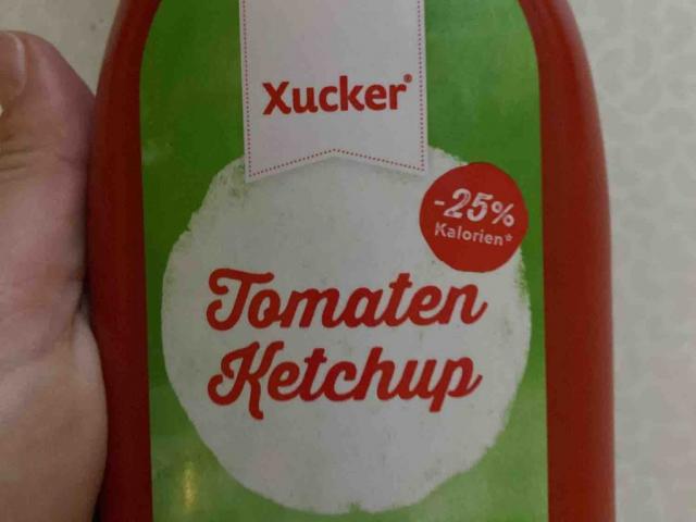 Tomaten Ketchup (xylit ohne mehrwertige Alk) von piepsielein | Hochgeladen von: piepsielein