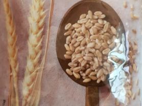 Weizen, ganzes Korn | Hochgeladen von: Makra24