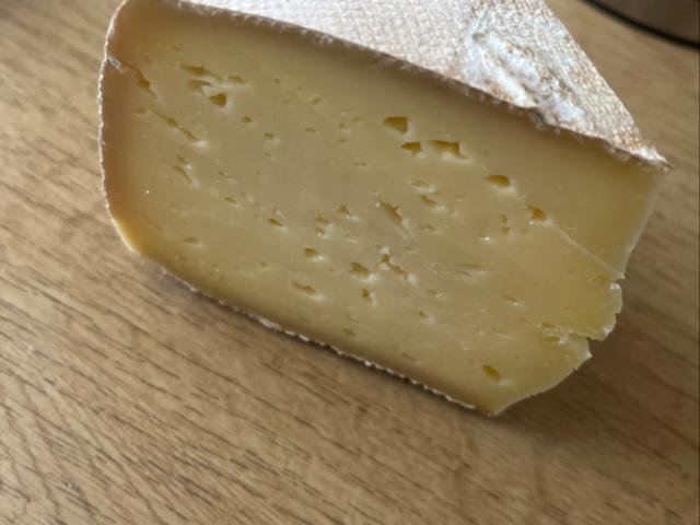 Hochgeladen von: GeliF Hochgeladen von: GeliF