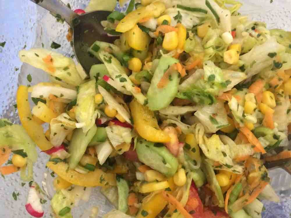 gemischter Salat mit Öl ohne Körner, Paprika Tomate Gurke Radies | Hochgeladen von: Baba321
