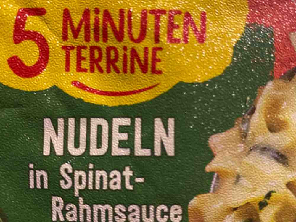 5 Minuten Terrine, Nudeln in Spinat Rahm Sauce von Jaqueline1 | Hochgeladen von: Jaqueline1