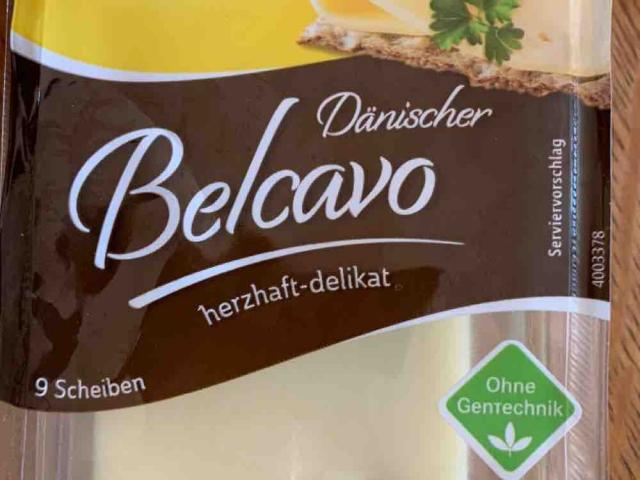 Dänischer Belcavo von premiumBit | Hochgeladen von: premiumBit