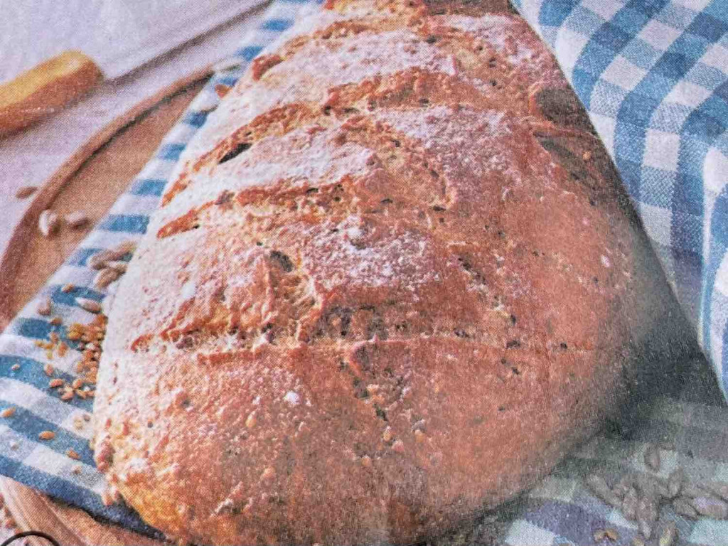 Holzfällerbrot, pain du nûcheron - pane del boscaiolo von snake5 | Hochgeladen von: snake55