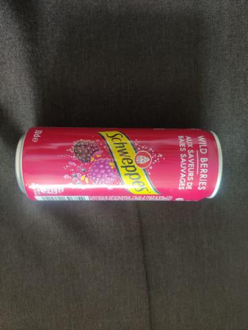 Schweppes Wild Berries by raddestPanduh | Hochgeladen von: raddestPanduh