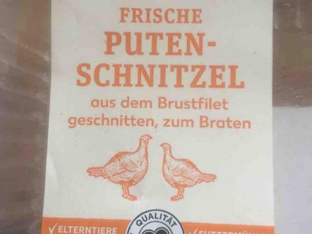 Frische Putenschnitzel aus dem Brustfilet geschnitten von connyc | Hochgeladen von: connyclassen198