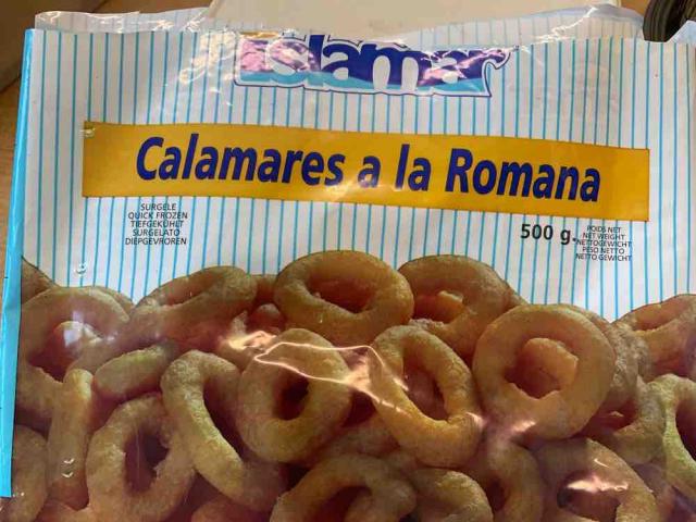 Calamares a la Romana von uspliethoff | Hochgeladen von: uspliethoff