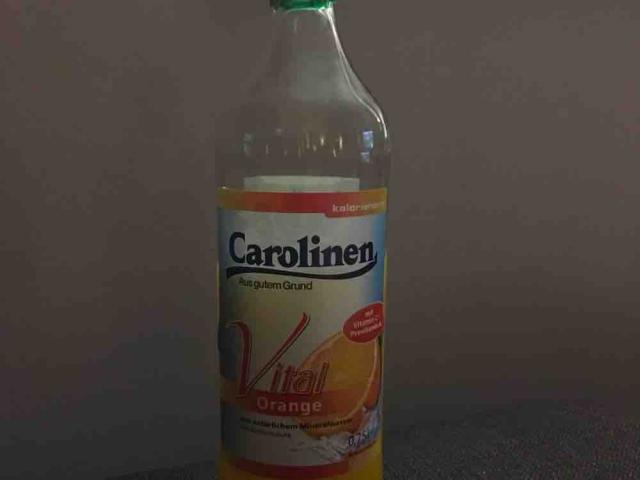 Carolinen Vital, Orange von 34markus77 | Hochgeladen von: 34markus77